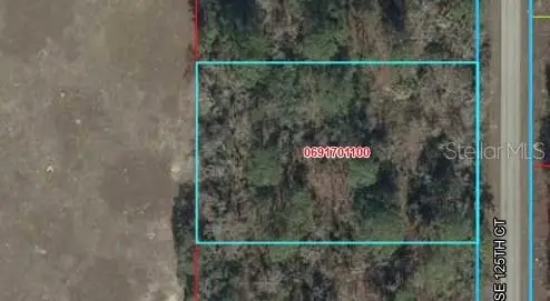 TBD SE 125th Court, Dunnellon, FL 34431 - #1