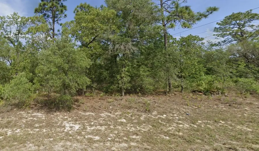 6791 Darlington Drive, Citrus Springs, FL 34434 - #2