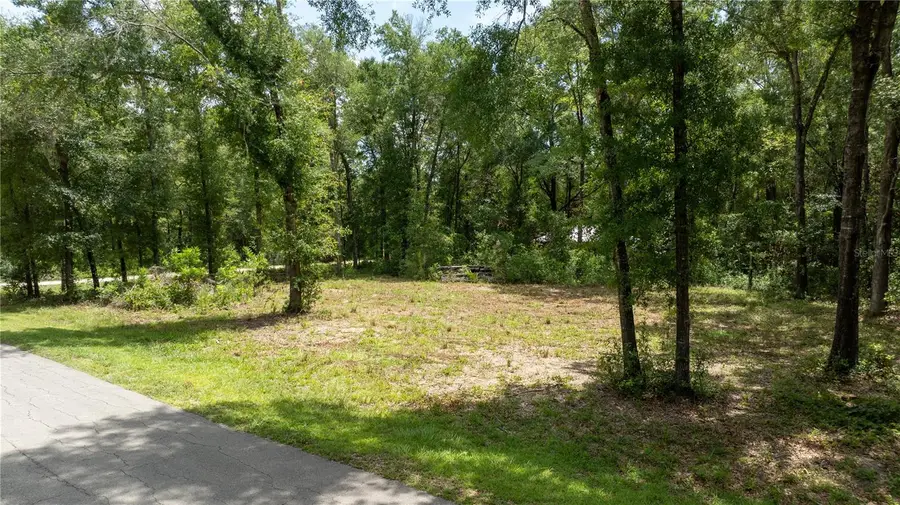 000 NE 155th Court, Williston, FL 32696 - #3
