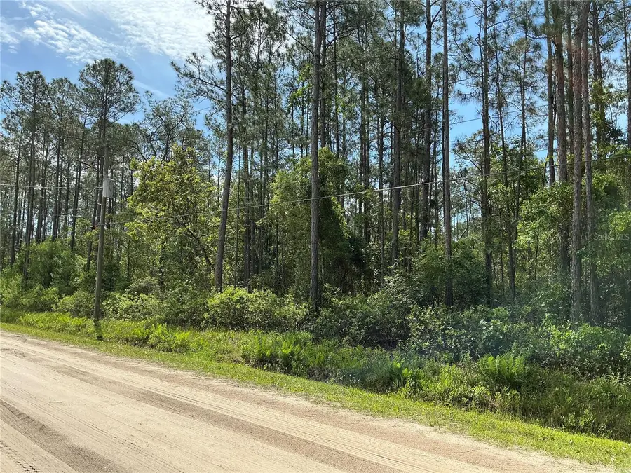 4425 Joyce Street, Hastings, FL 32145 - #3