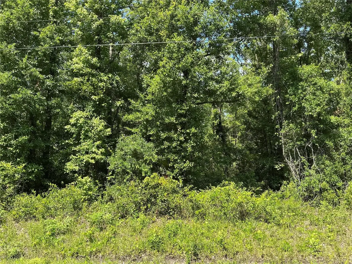 10135 Mcmahon Avenue, Hastings, FL 32145 - #1