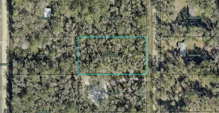 10135 Mcmahon Avenue, Hastings, FL 32145 - #2