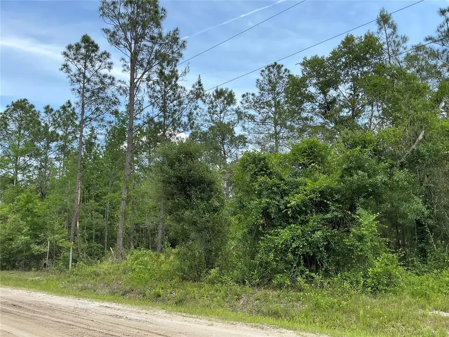 10730 Beckenger Avenue, Hastings, FL 32145 - #3