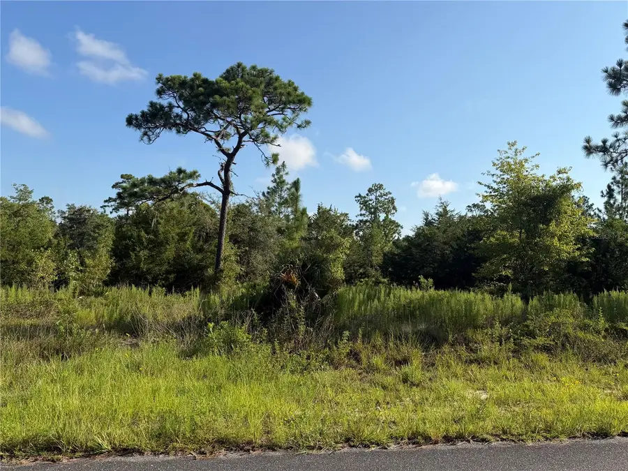 SE 35th Street, Morriston, FL 32668 - #2