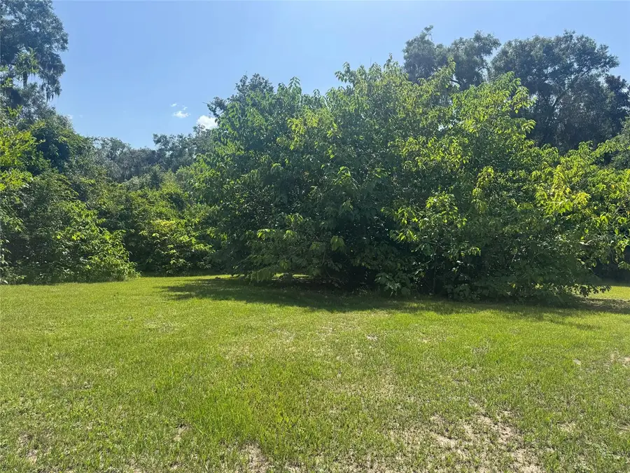 4650 SW 36 Street, Ocala, FL 34474 - #2