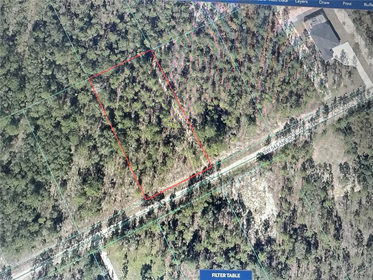 00 SW 54 Lane Road, Dunnellon, FL 34432 - #1