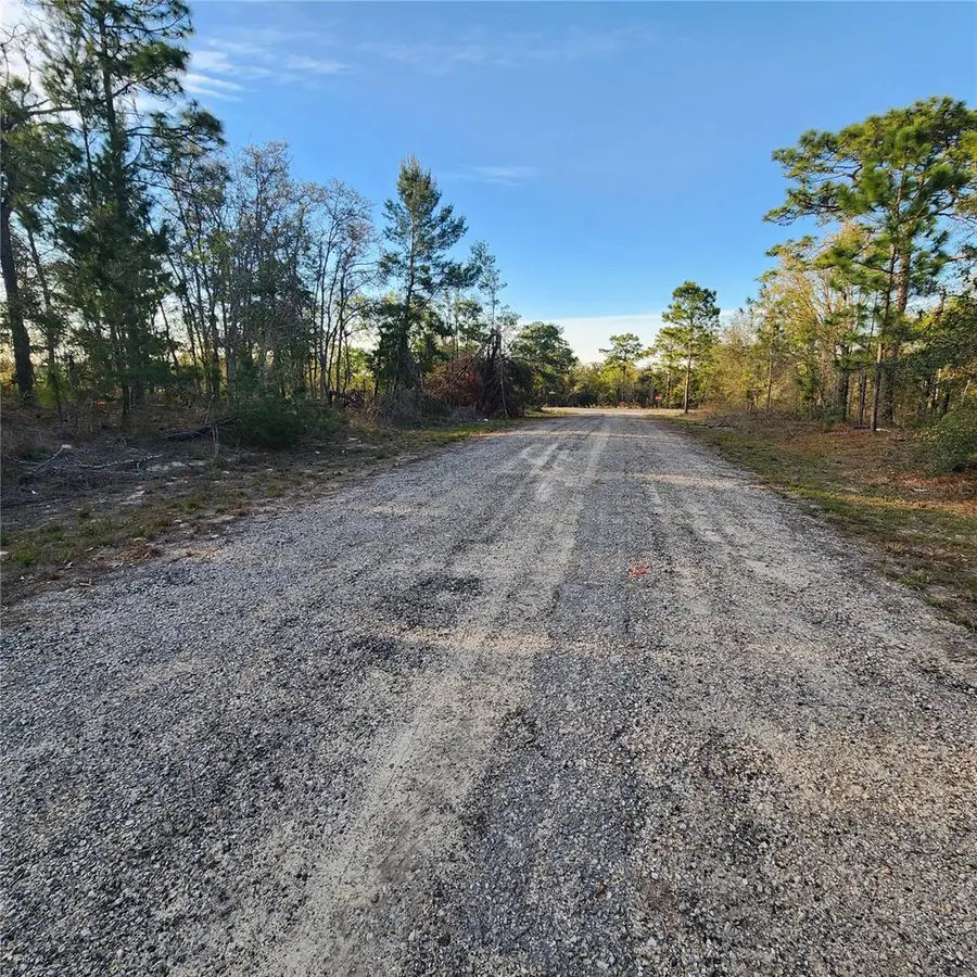 6673 N Libby Terrace, Citrus Springs, FL 34433 - #2