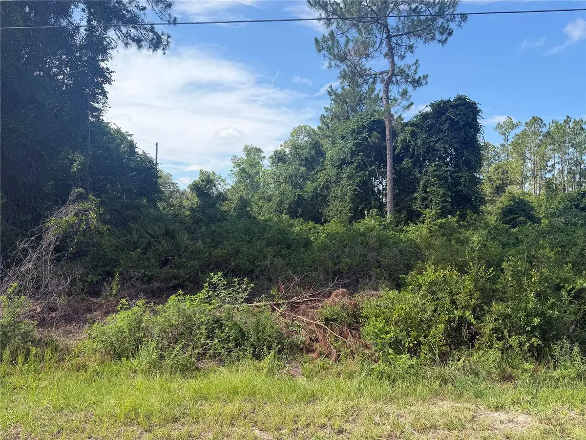 TBD Malauka Terrace, Ocklawaha, FL 32179 - #1