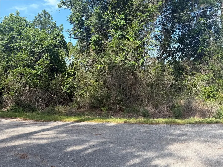 TBD Malauka Terrace, Ocklawaha, FL 32179 - #3