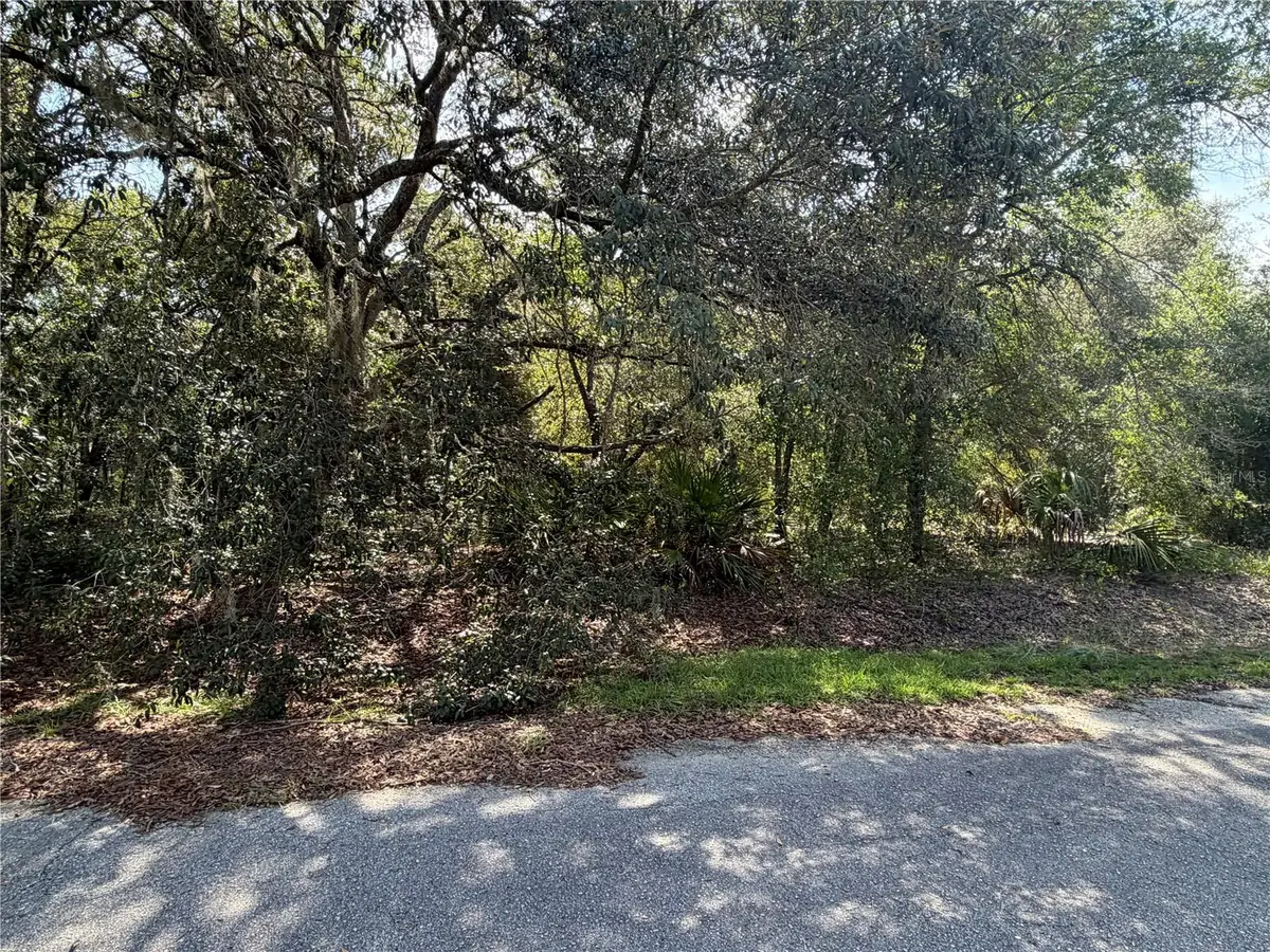 TBD Malauka Pass Trail, Ocklawaha, FL 32179 - #1