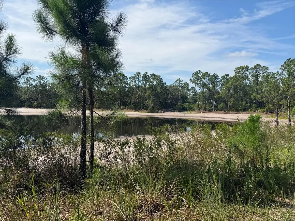 TBD Malauka Pass Trail, Ocklawaha, FL 32179 - #1