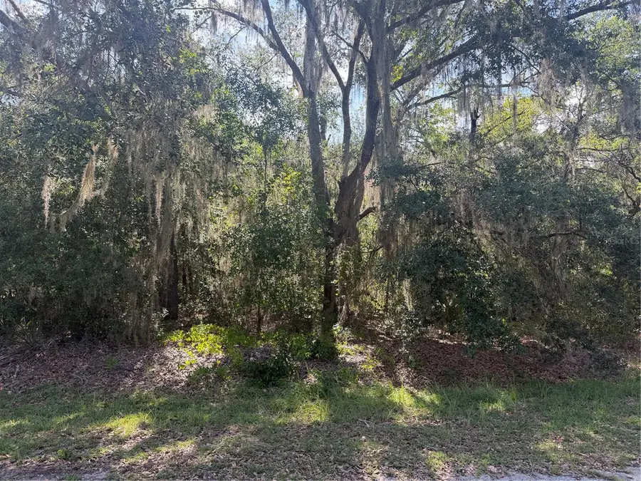TBD Malauka Pass Trail, Ocklawaha, FL 32179 - #2
