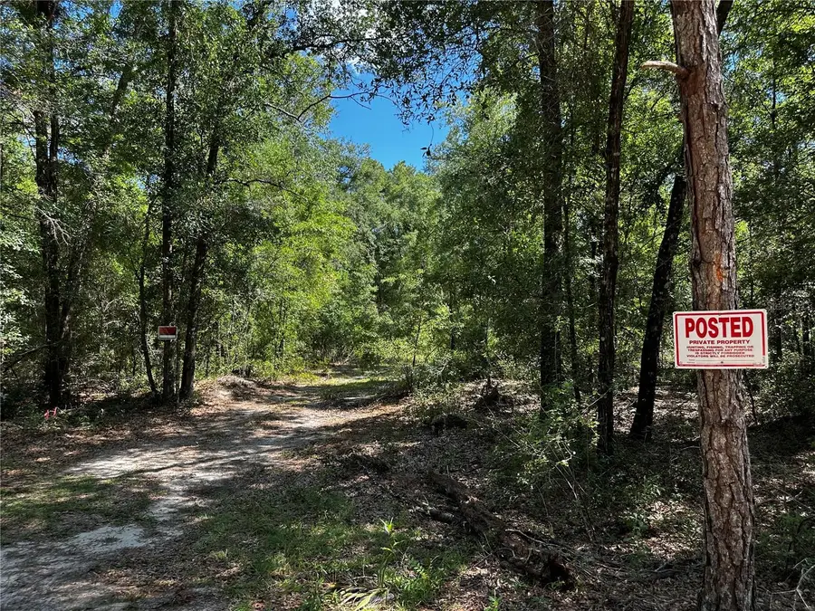 TBD NE 81st Street, Bronson, FL 32621 - #2