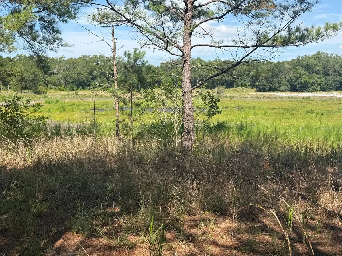 TBD Guava Terrace, Ocklawaha, FL 32179 - #1