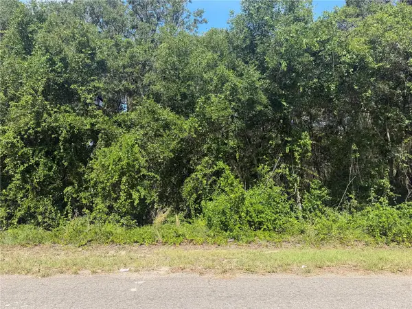 TBD Guava Terrace, OCKLAWAHA, FL 32179