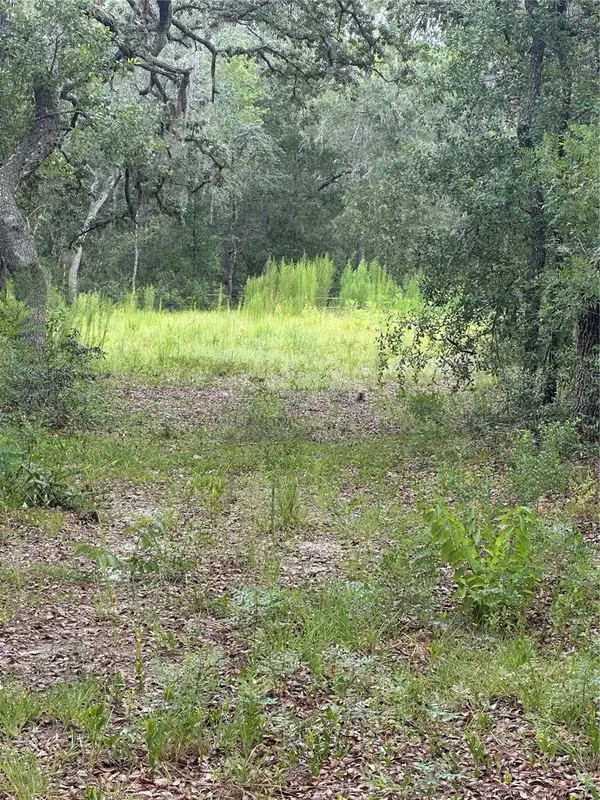 5730 SE County Road 337, MORRISTON, FL 32668