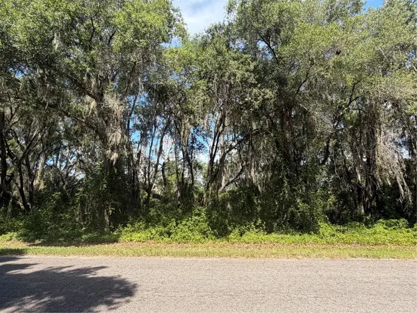 TBD Guava Terrace, OCKLAWAHA, FL 32179