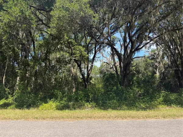 TBD Guava Terrace, OCKLAWAHA, FL 32179