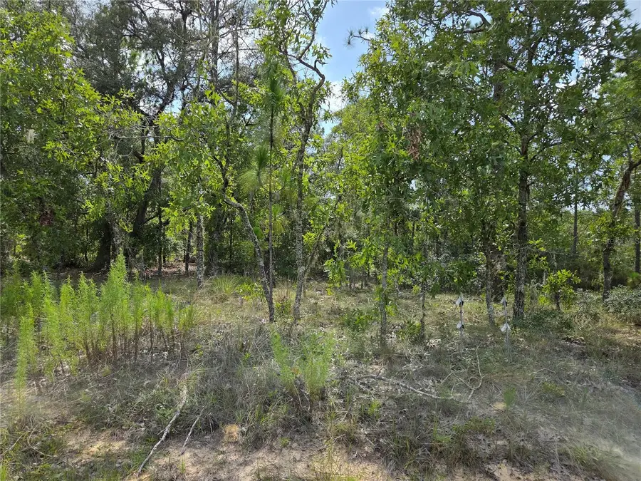 0000 NE 150th Avenue, Williston, FL 32696 - #2