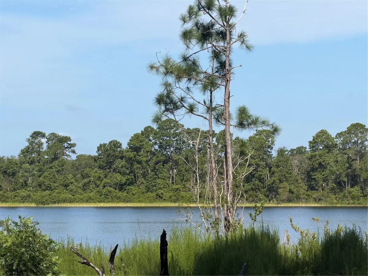 TBD Malauka Radial, Ocklawaha, FL 32179 - #1