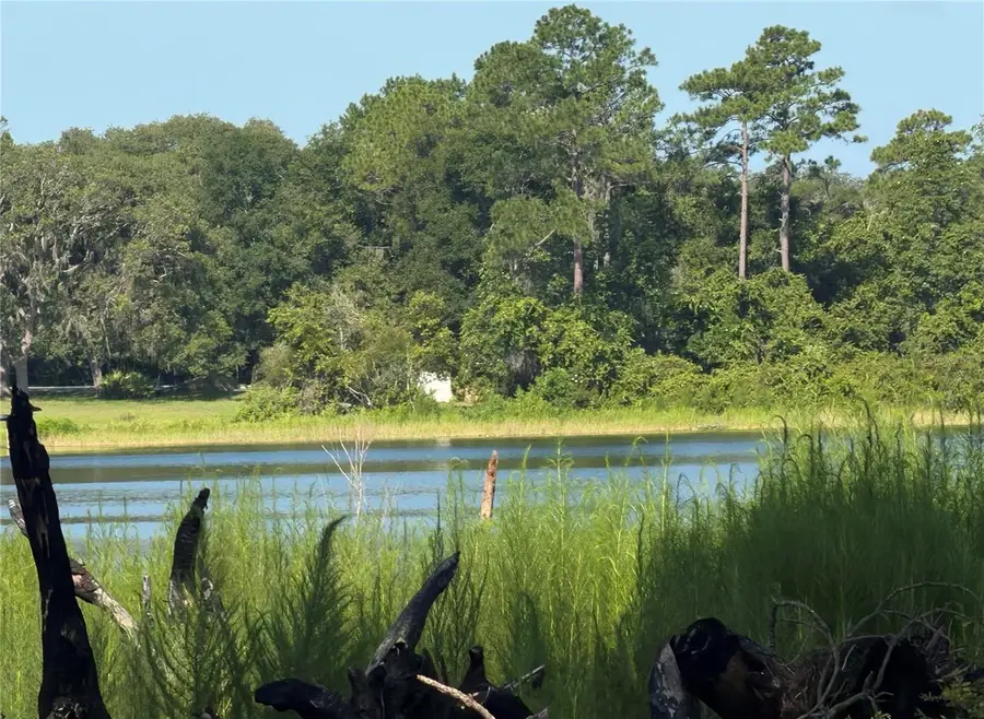 TBD Malauka Radial, Ocklawaha, FL 32179 - #2