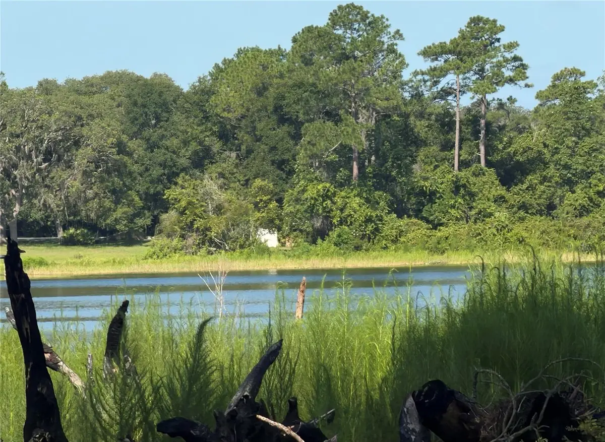 TBD Malauka Radial, Ocklawaha, FL 32179 - #1