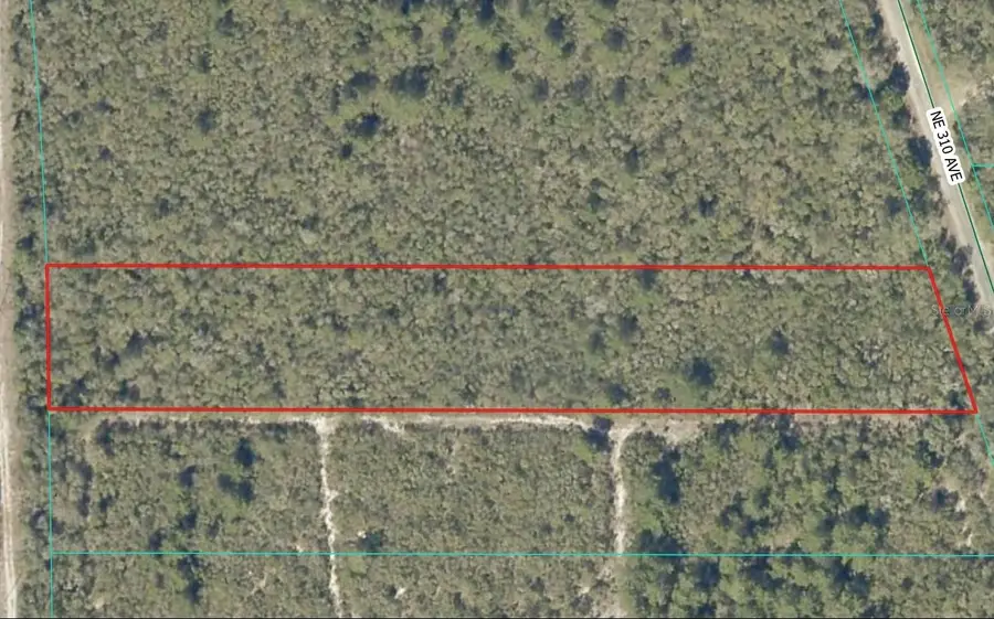 NE 310th Avenue, East Marion, FL 32134 - #2