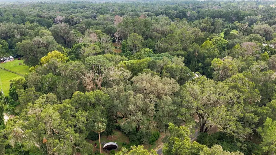 327 SE County Road 234, Gainesville, FL 32641 - #3