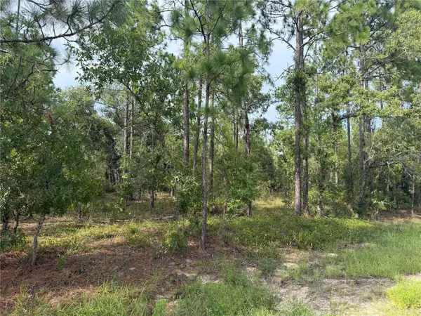 SW 88 Street, DUNNELLON, FL 34432