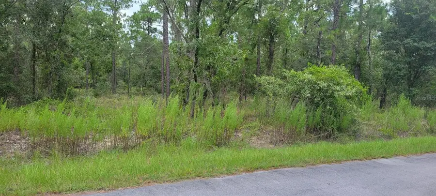 0 NW Chestnut Avenue, Dunnellon, FL 34431 - #2