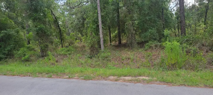 0 NW Highview Avenue, Dunnellon, FL 34431 - #2