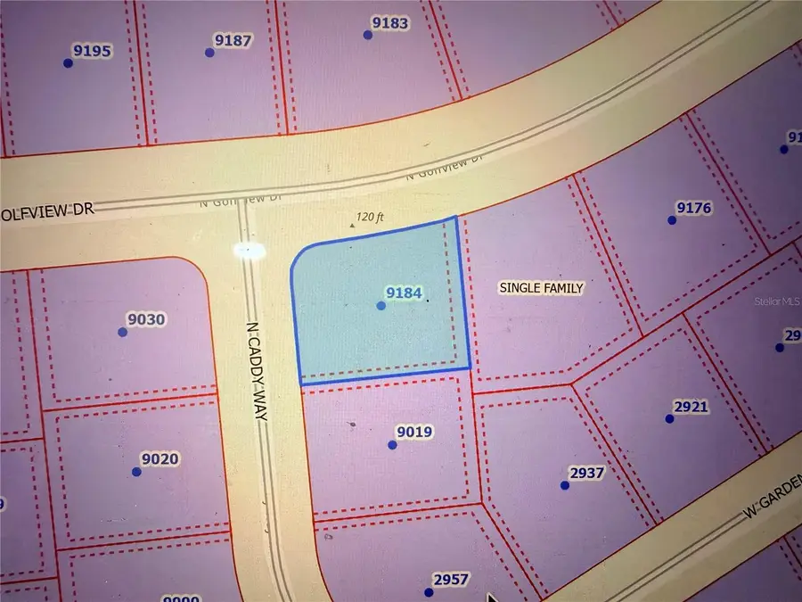 9184 N Golfview Drive, Citrus Springs, FL 34434 - #3