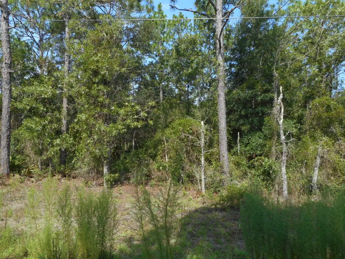136 Terrace Sw, Dunnellon, FL 34432 - #1