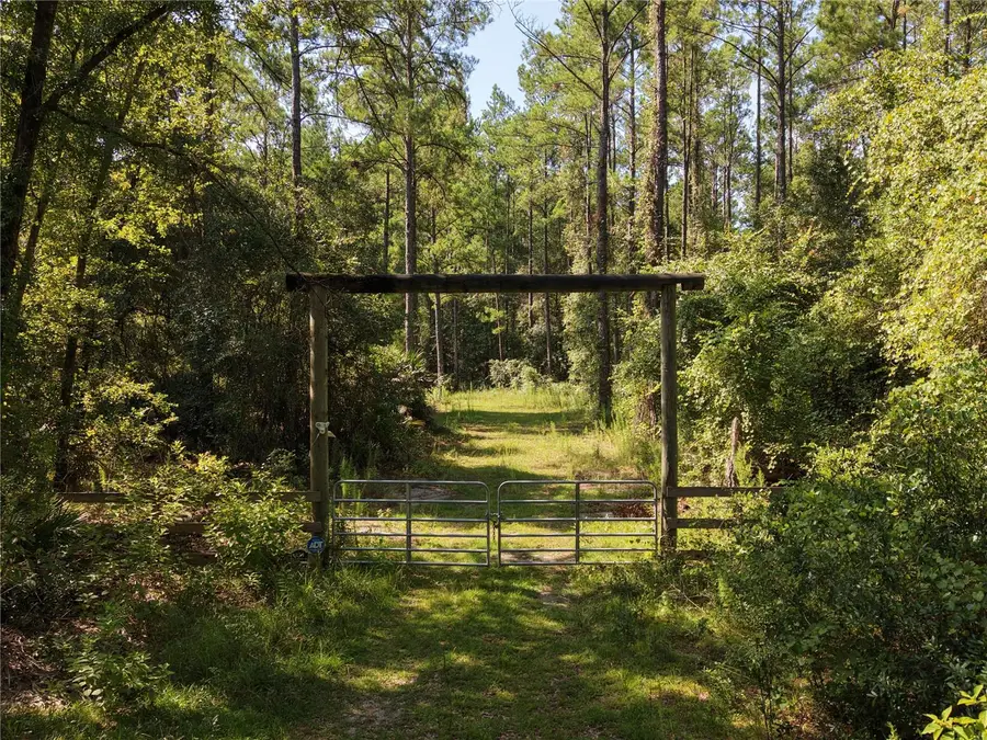 375 Buck Springs Road, Palatka, FL 32177 - #2