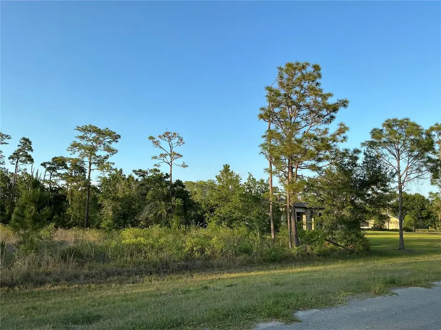 LOT 44 Reynolds Parkway, Orlando, FL 32833 - #3