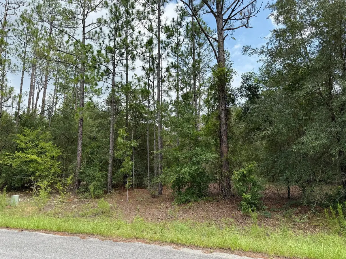 6461 N Elnora Way, Citrus Springs, FL 34433 - #1