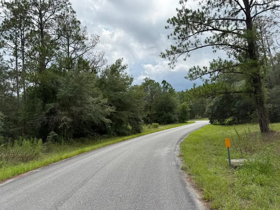 6461 N Elnora Way, Citrus Springs, FL 34433 - #3