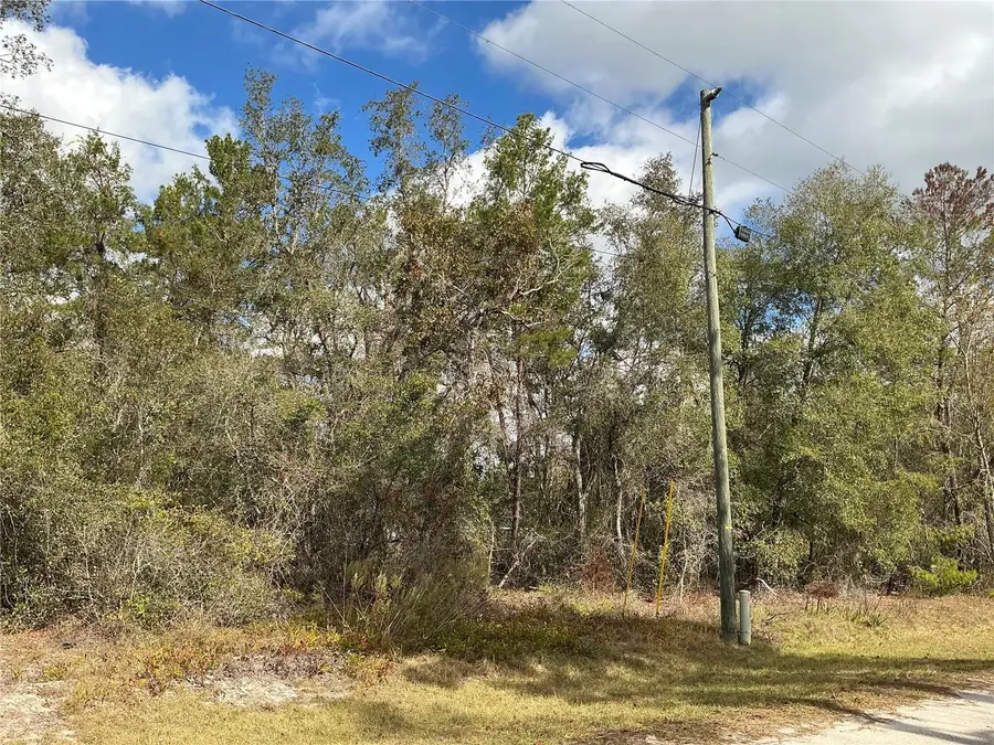 LOT 8 Fisher Trace, Ocklawaha, FL 32179 - #3