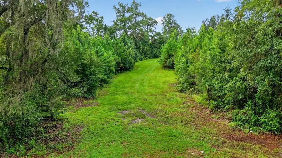 15958 W Hwy 318, Williston, FL 32696 - #2