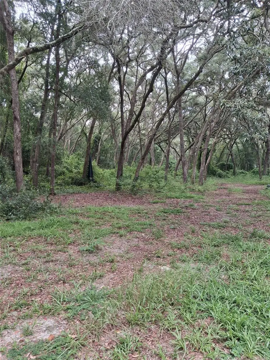 7484 SW 150th Street, Dunnellon, FL 34432 - #3