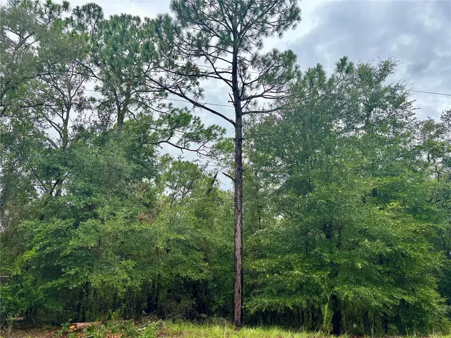 Lot 28 SW 206 Circle, Dunnellon, FL 34431 - #3
