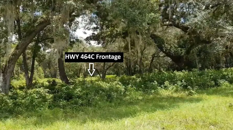 9438 SE Hwy 464c Se, Ocklawaha, FL 32179 - #2