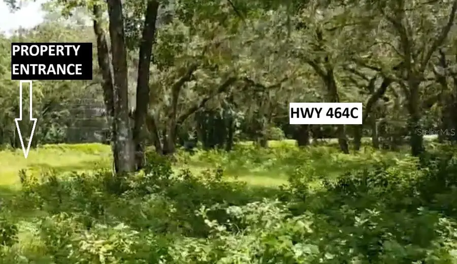 9438 SE Hwy 464c Se, Ocklawaha, FL 32179 - #3