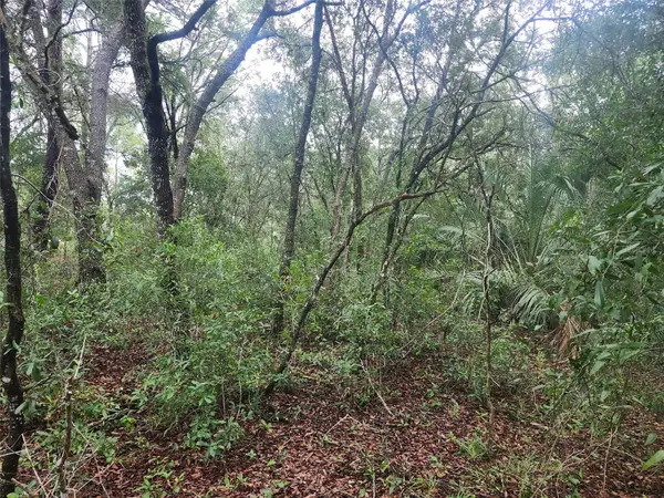 SW Sands Point Avenue, DUNNELLON, FL 34432