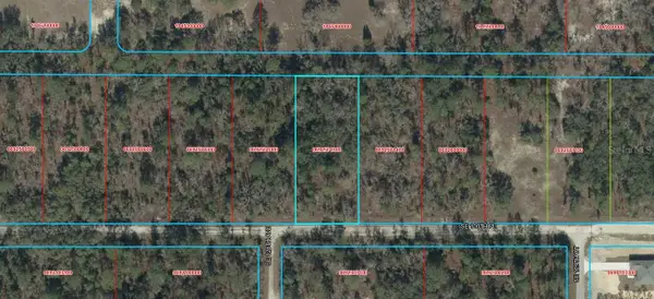 TBD SE 100th Place, DUNNELLON, FL 34431