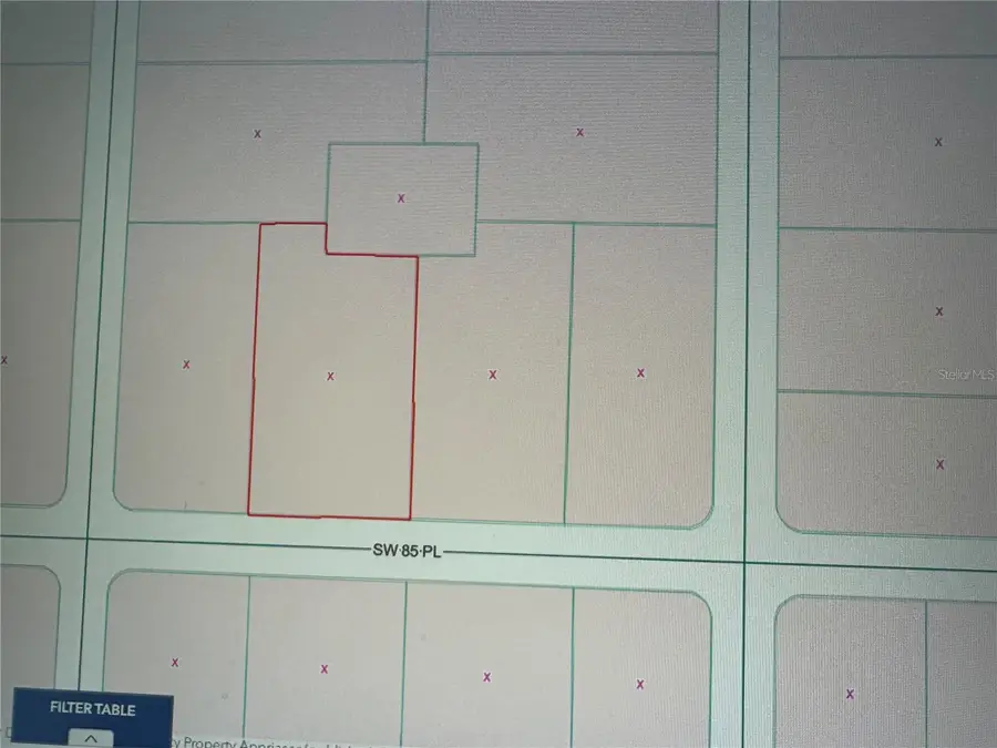 SW 85th Place, Dunnellon, FL 34432 - #2