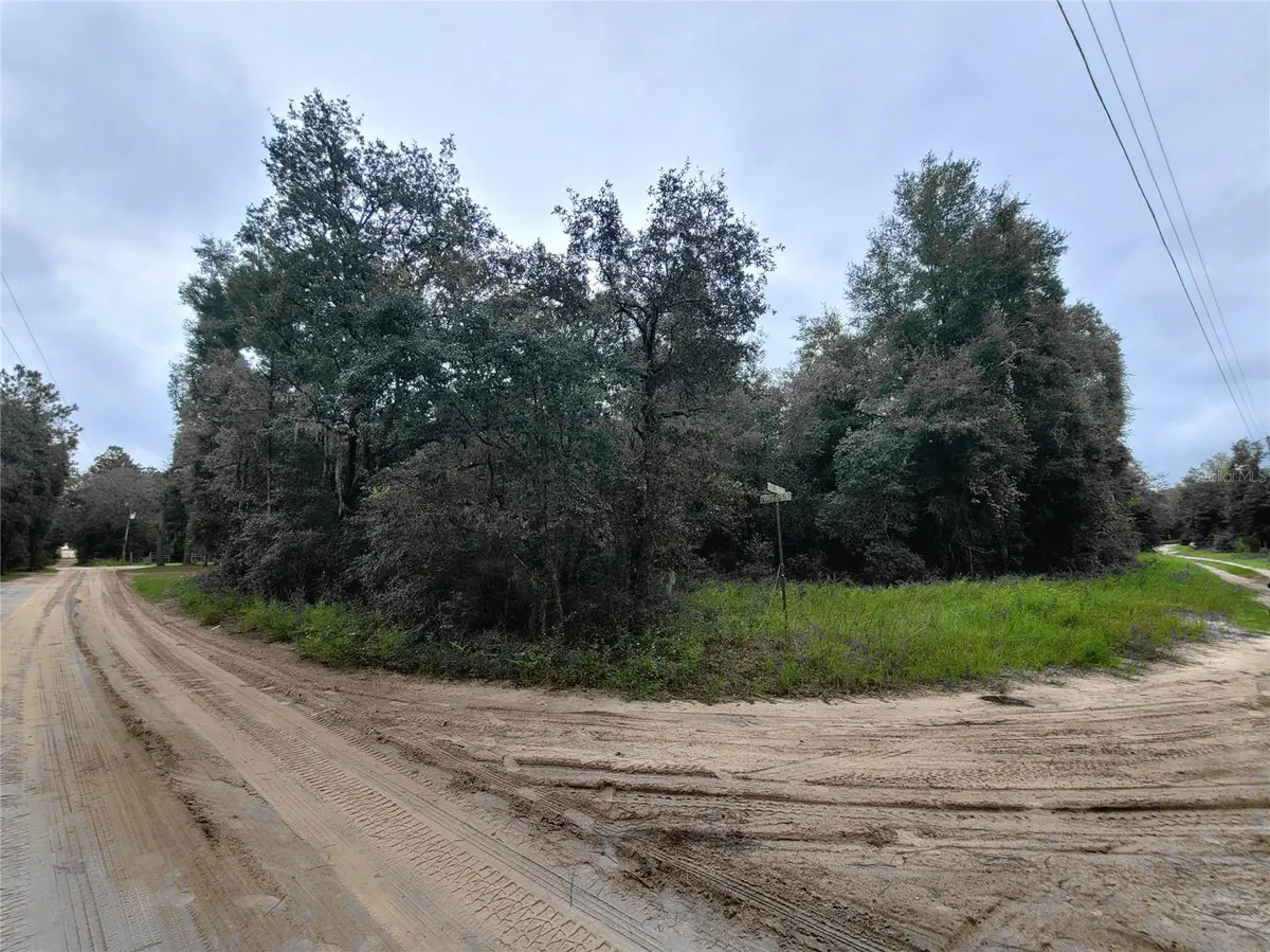 TBD NE 81st Ter Drive, Bronson, FL 32621 - #1
