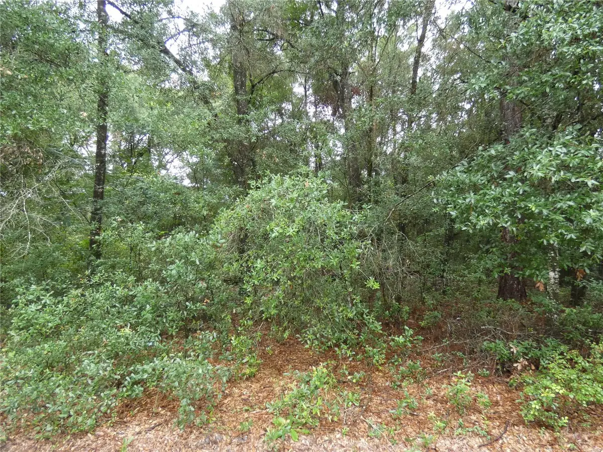 TBD SW 151 St Pl, Dunnellon, FL 34432 - #1