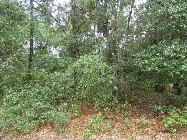 TBD SW 151 St Pl, DUNNELLON, FL 34432