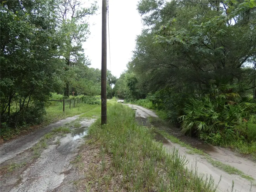 TBD SW 151 St Pl, Dunnellon, FL 34432 - #2